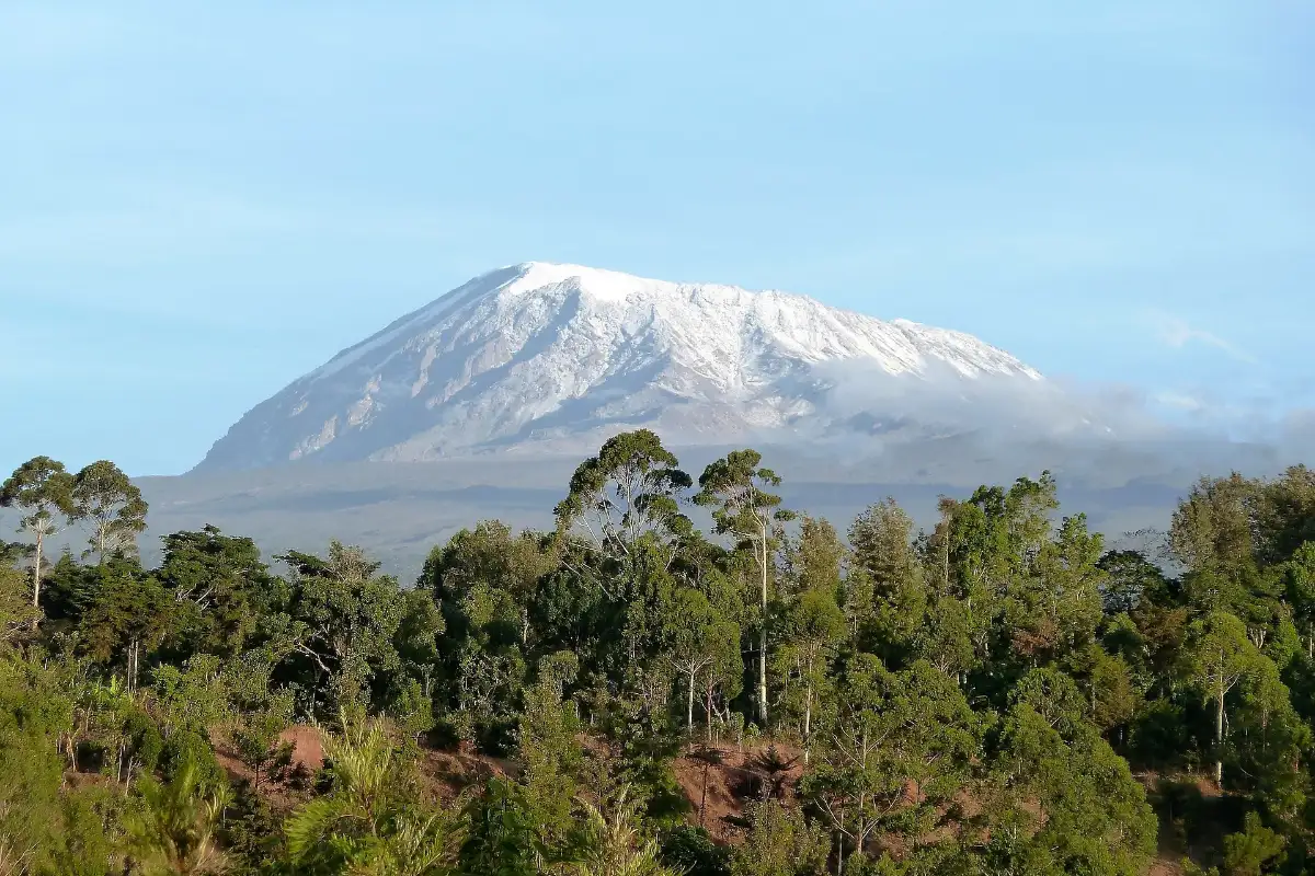 Materuni Hiking, Coffee And Cultural Tour 